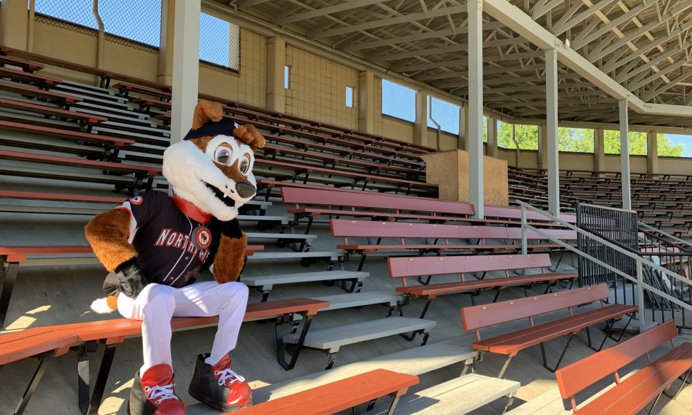 Golden Tide collegiate baseball team announces first signees TheDugout.ca